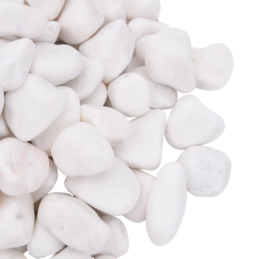 Kiezelstenen gepolijst 2-5 cm 10 kg wit is nu te koop bij PeponiXL, paradijselijk wonen!