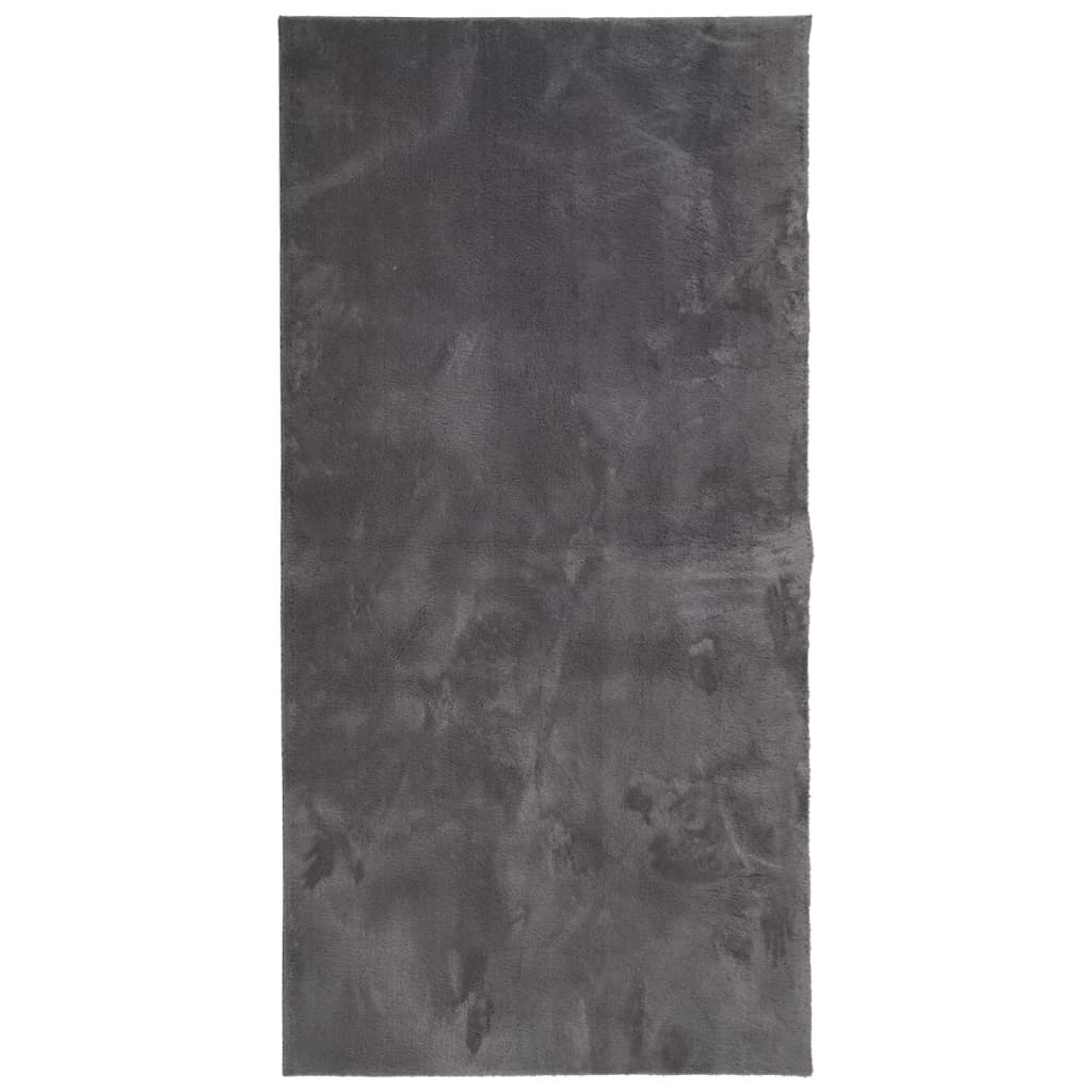Vloerkleed HUARTE laagpolig zacht wasbaar 100x200 cm antraciet is nu te koop bij PeponiXL, paradijselijk wonen!