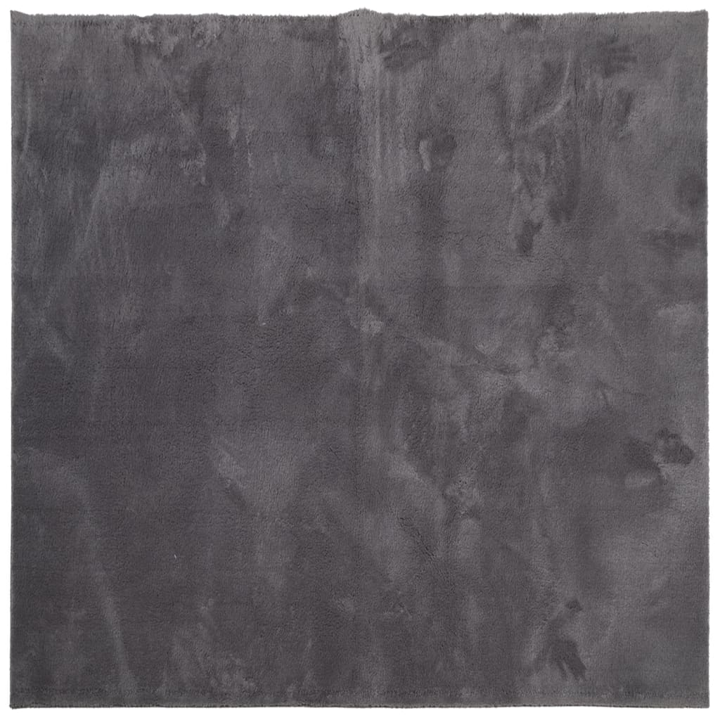 Vloerkleed HUARTE laagpolig zacht wasbaar 160x160 cm antraciet is nu te koop bij PeponiXL, paradijselijk wonen!