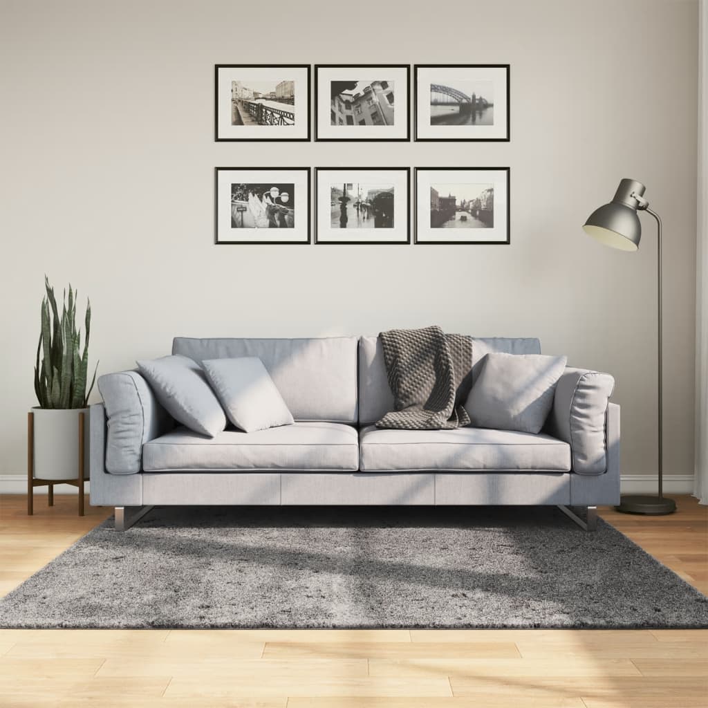 Vloerkleed HUARTE laagpolig zacht wasbaar 160x160 cm antraciet is nu te koop bij PeponiXL, paradijselijk wonen!