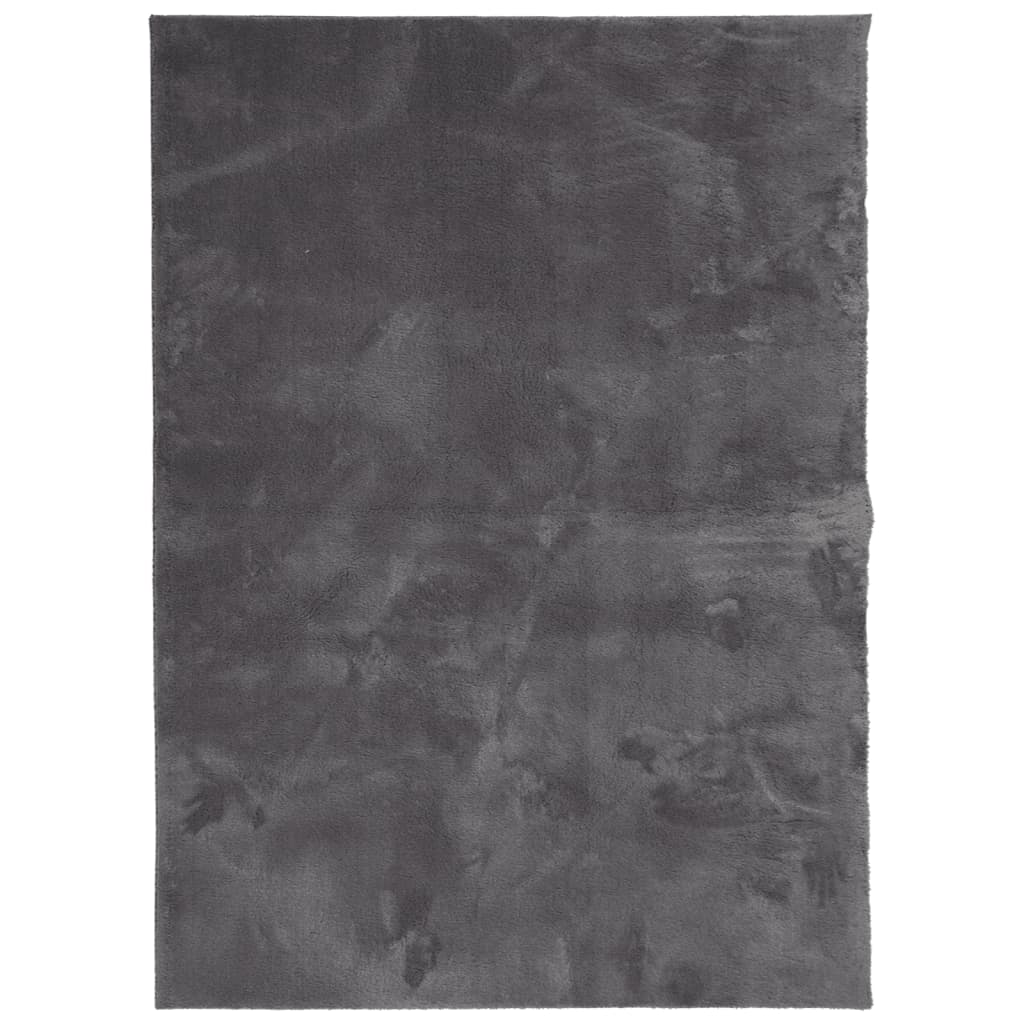 Vloerkleed HUARTE laagpolig zacht wasbaar 160x230 cm antraciet is nu te koop bij PeponiXL, paradijselijk wonen!