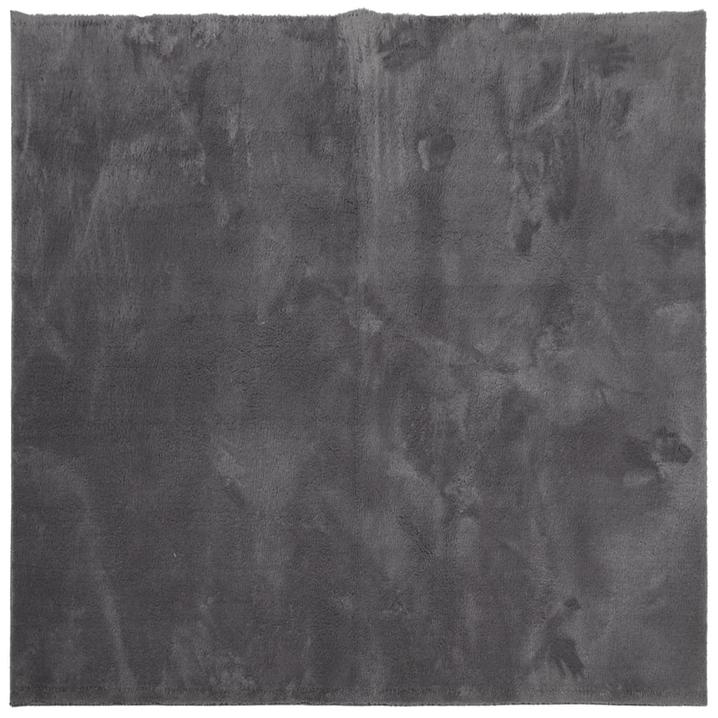 Vloerkleed HUARTE laagpolig zacht wasbaar 240x240 cm antraciet is nu te koop bij PeponiXL, paradijselijk wonen!