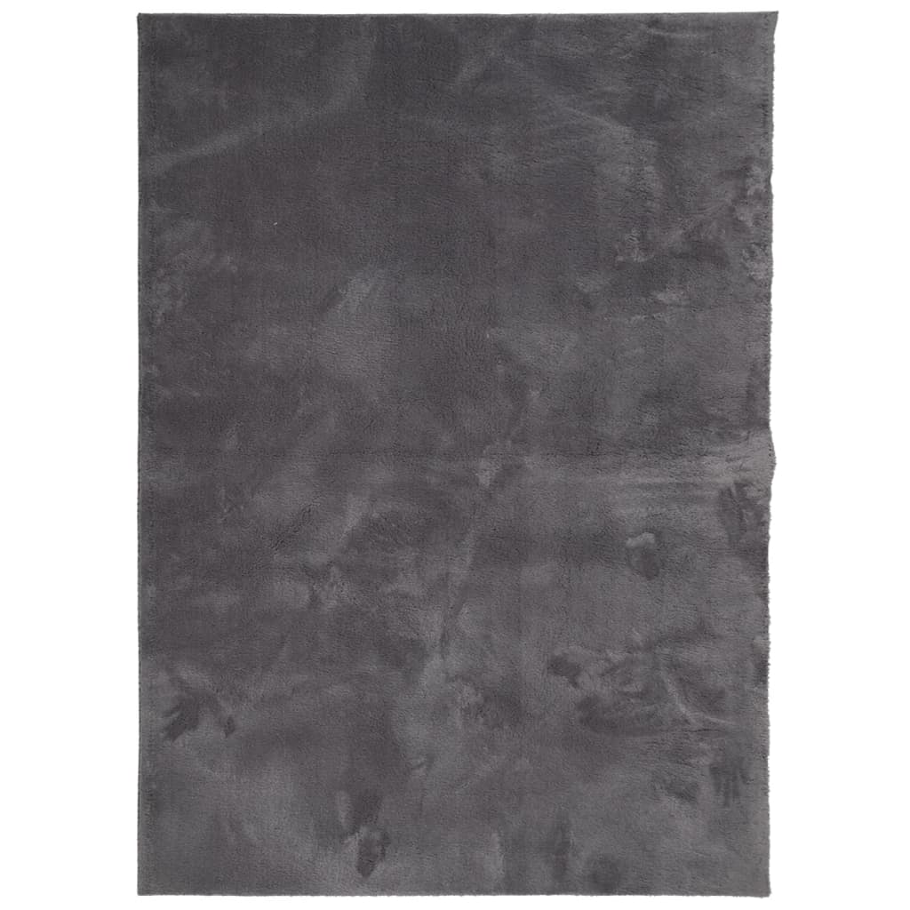 Vloerkleed HUARTE laagpolig zacht wasbaar 240x340 cm antraciet is nu te koop bij PeponiXL, paradijselijk wonen!