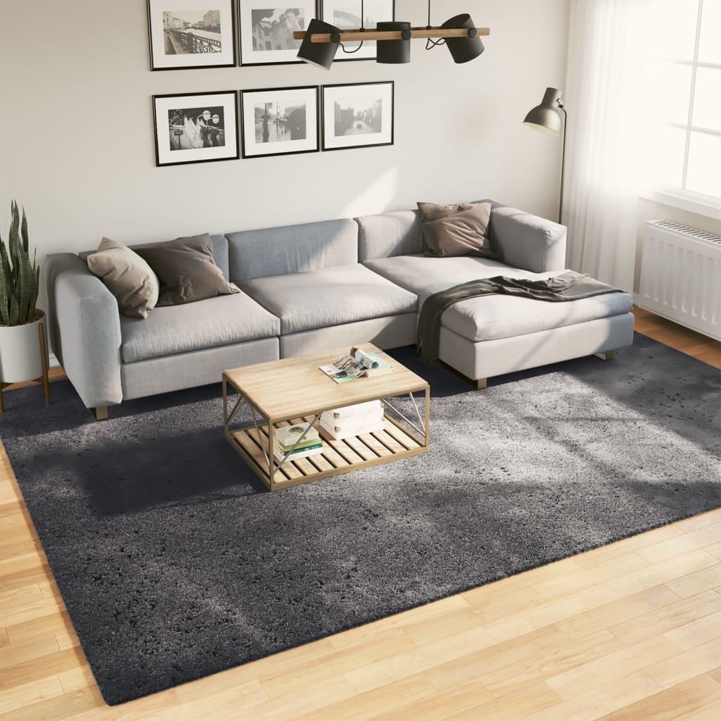 Vloerkleed HUARTE laagpolig zacht wasbaar 240x340 cm antraciet is nu te koop bij PeponiXL, paradijselijk wonen!