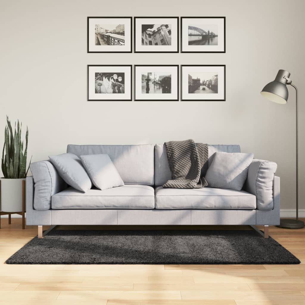 Vloerkleed PAMPLONA shaggy hoogpolig 120x170 cm antraciet is nu te koop bij PeponiXL, paradijselijk wonen!