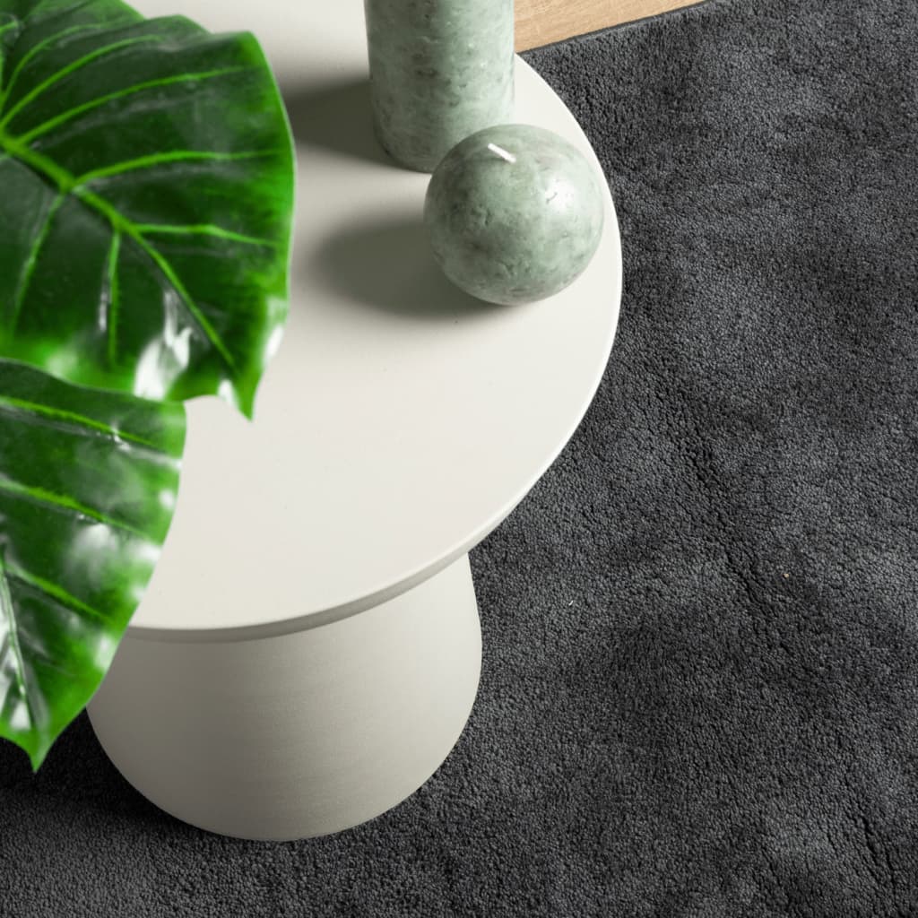 Vloerkleed OVIEDO laagpolig 120x120 cm antracietkleurig is nu te koop bij PeponiXL, paradijselijk wonen!