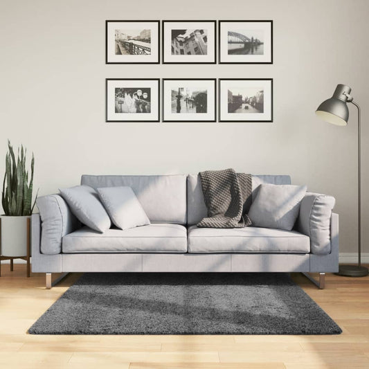 Vloerkleed OVIEDO laagpolig 120x120 cm antracietkleurig is nu te koop bij PeponiXL, paradijselijk wonen!
