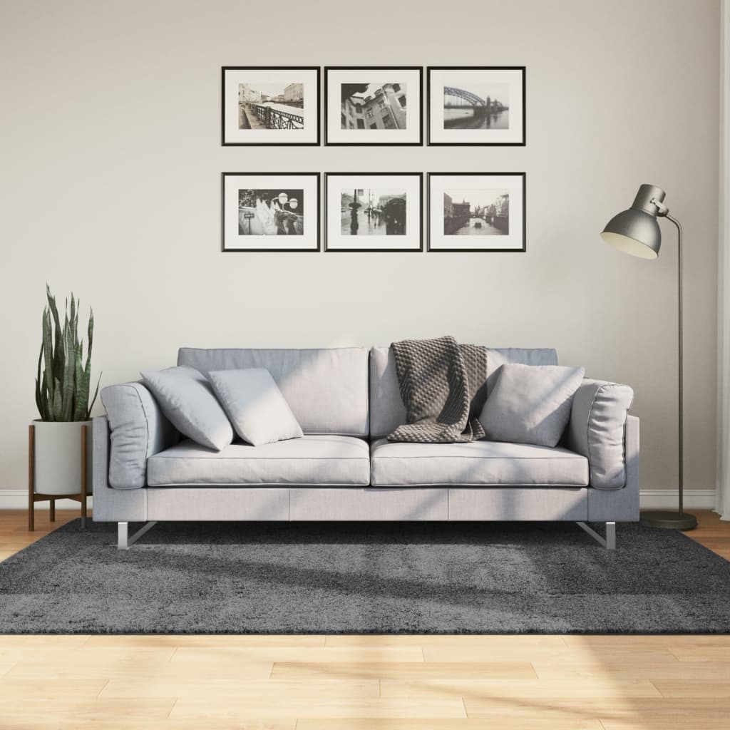 Vloerkleed OVIEDO laagpolig 140x200 cm antracietkleurig is nu te koop bij PeponiXL, paradijselijk wonen!