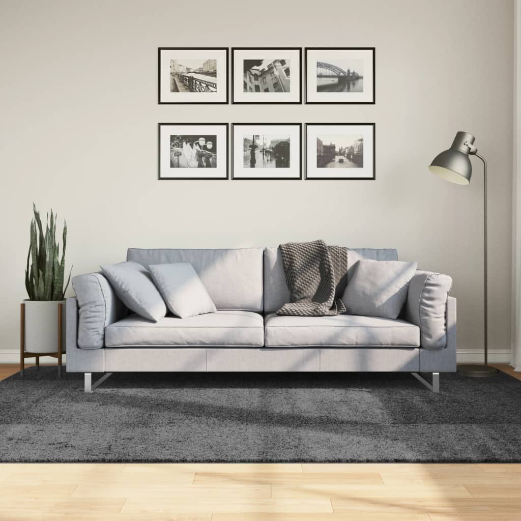 Vloerkleed OVIEDO laagpolig 160x230 cm antracietkleurig is nu te koop bij PeponiXL, paradijselijk wonen!