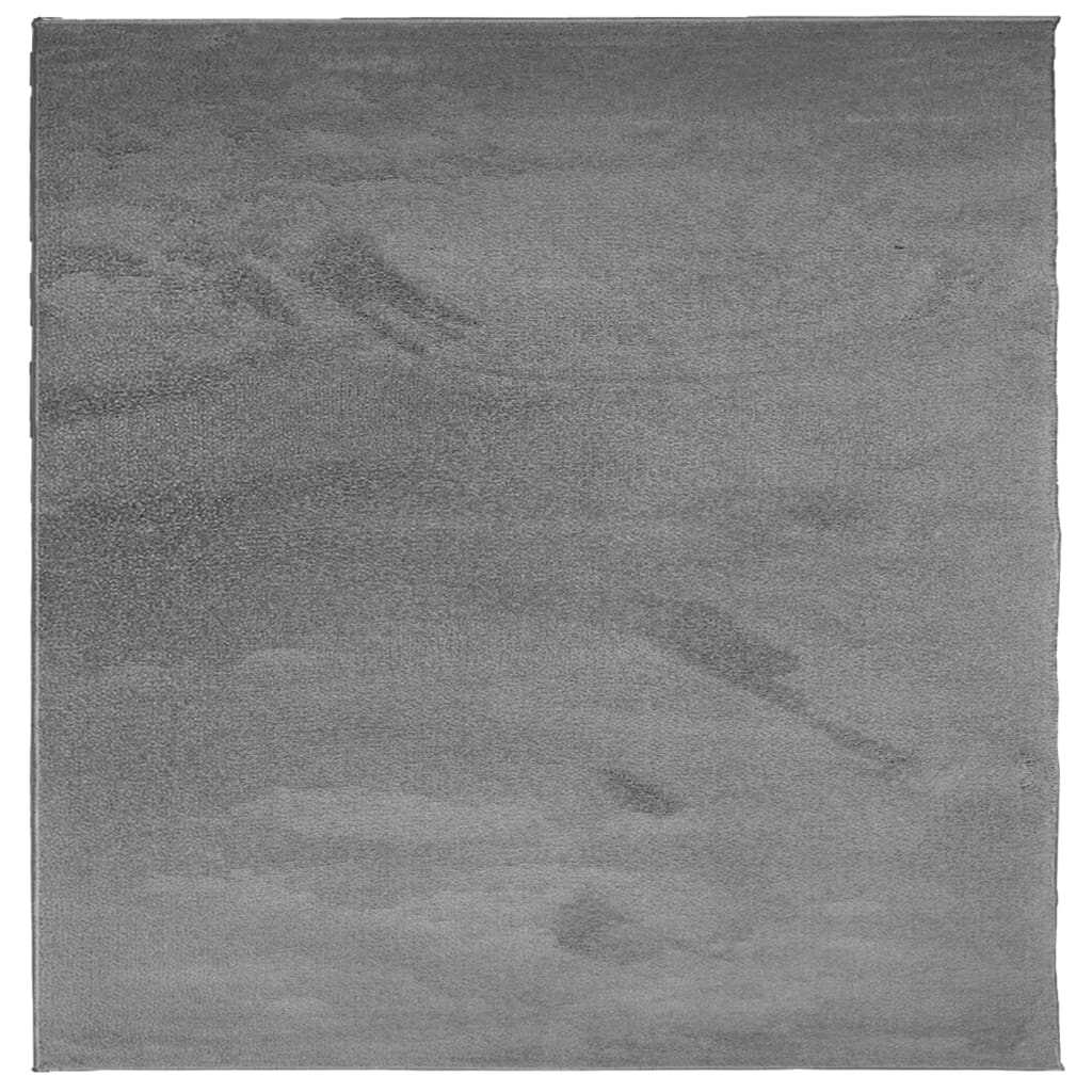 Vloerkleed OVIEDO laagpolig 240x240 cm antracietkleurig is nu te koop bij PeponiXL, paradijselijk wonen!