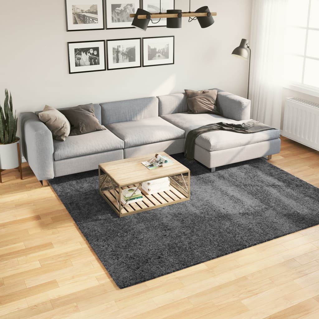 Vloerkleed OVIEDO laagpolig 240x240 cm antracietkleurig is nu te koop bij PeponiXL, paradijselijk wonen!