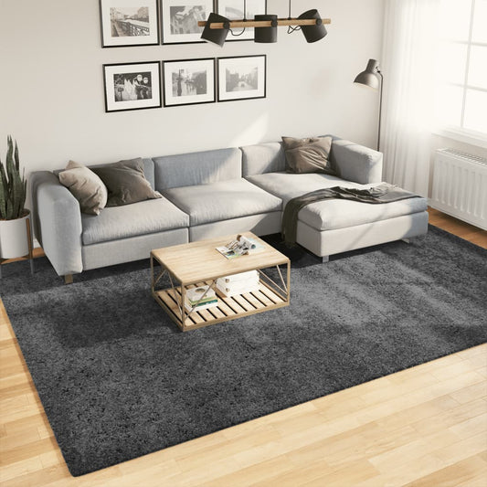 Vloerkleed OVIEDO laagpolig 240x340 cm antracietkleurig is nu te koop bij PeponiXL, paradijselijk wonen!