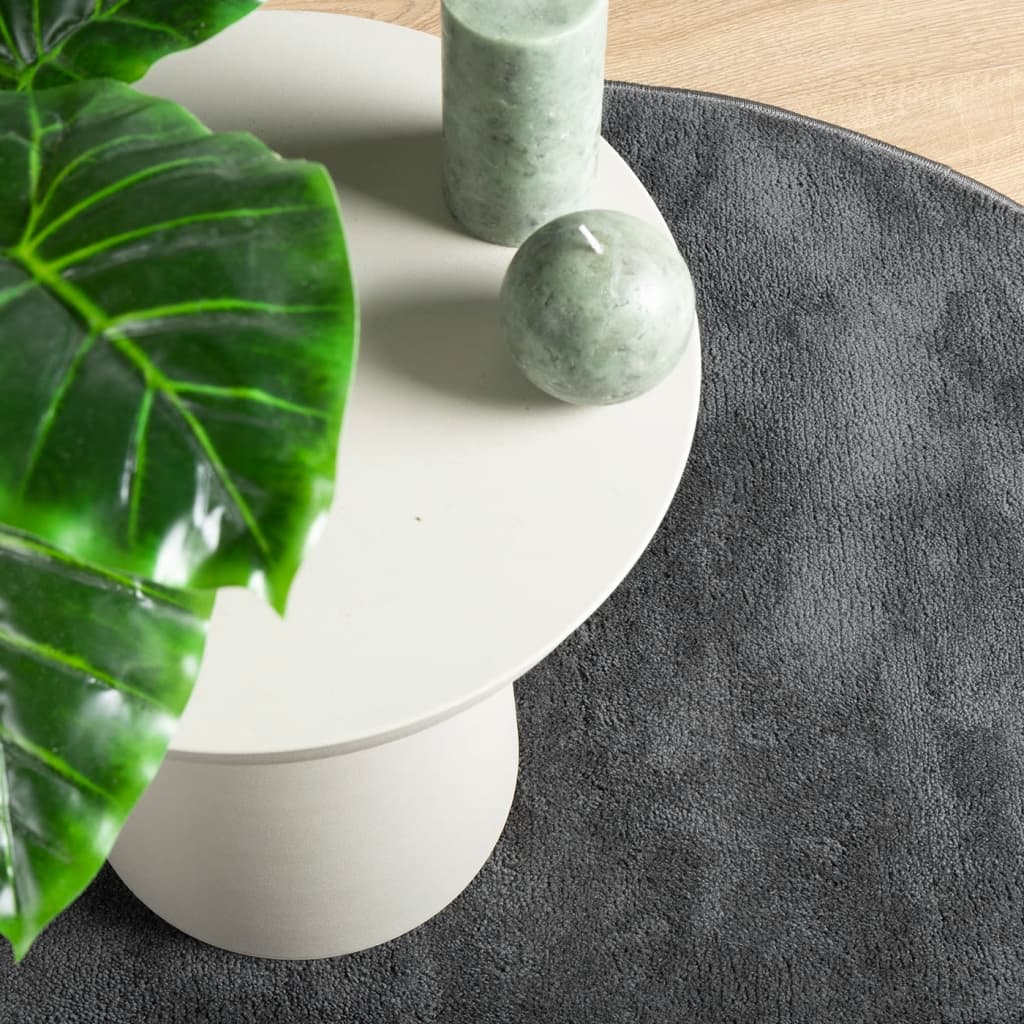Vloerkleed OVIEDO laagpolig Ø 120 cm antracietkleurig is nu te koop bij PeponiXL, paradijselijk wonen!