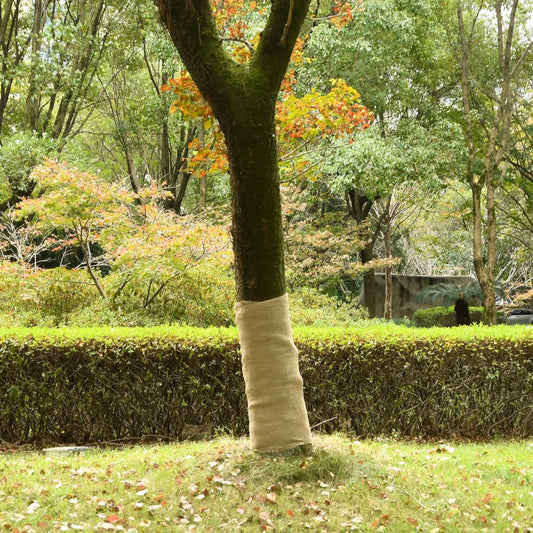 Juterol 1x5 m 100% Jute 200 g/m² is nu te koop bij PeponiXL, paradijselijk wonen!