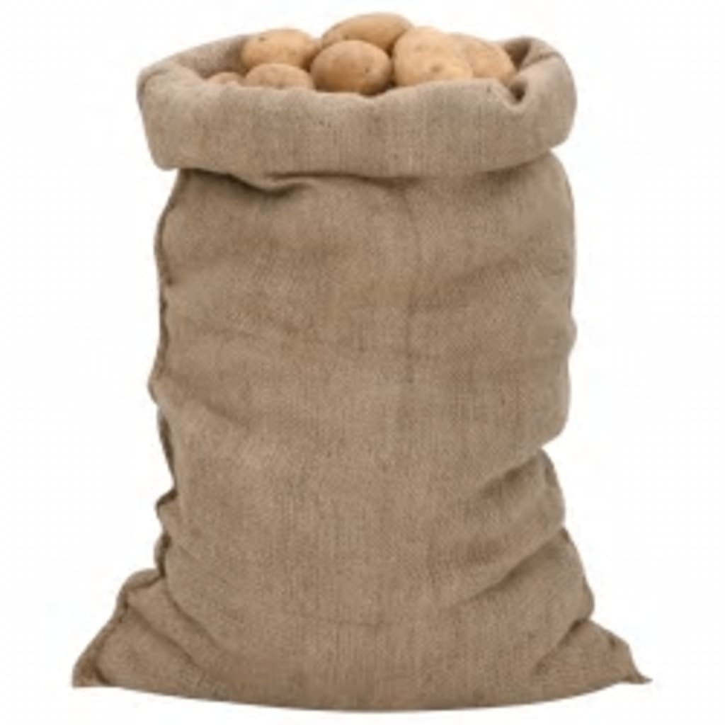 Jutezakken 30 stuks 340 g/m² 60x105 cm 100% jute is nu te koop bij PeponiXL, paradijselijk wonen!