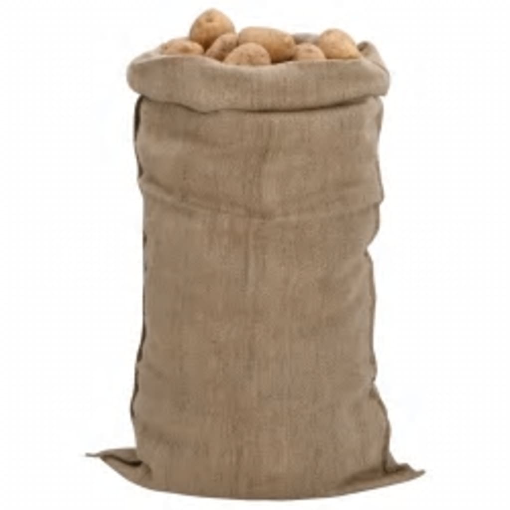 Jutezakken 30 stuks 340 g/m² 65x135 cm 100% jute is nu te koop bij PeponiXL, paradijselijk wonen!