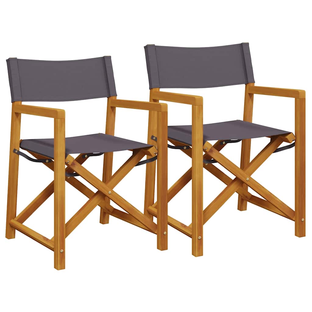 Regisseursstoelen 2 st inklapbaar stof donkergrijs is nu te koop bij PeponiXL, paradijselijk wonen!