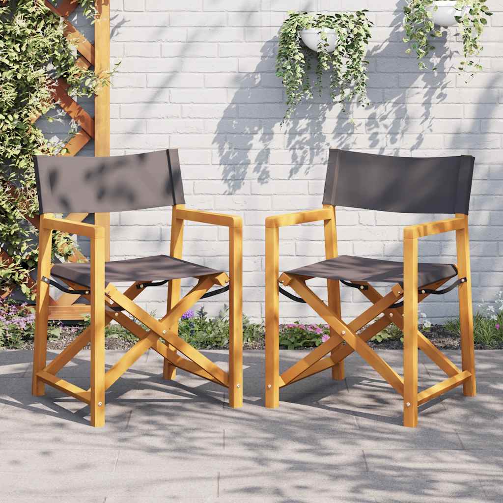 Regisseursstoelen 2 st inklapbaar stof donkergrijs is nu te koop bij PeponiXL, paradijselijk wonen!