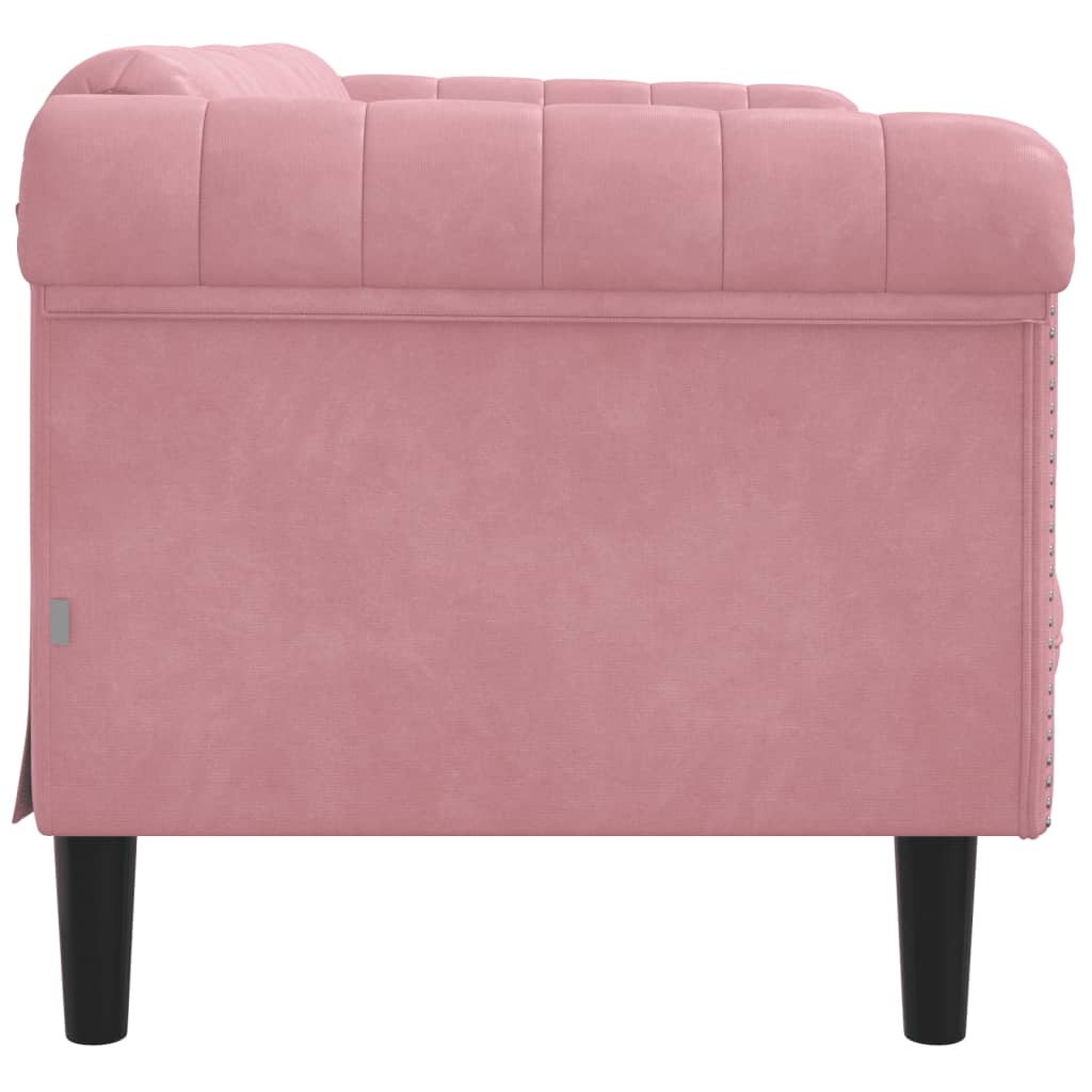 2-zitsbank fluweel roze is nu te koop bij PeponiXL, paradijselijk wonen!
