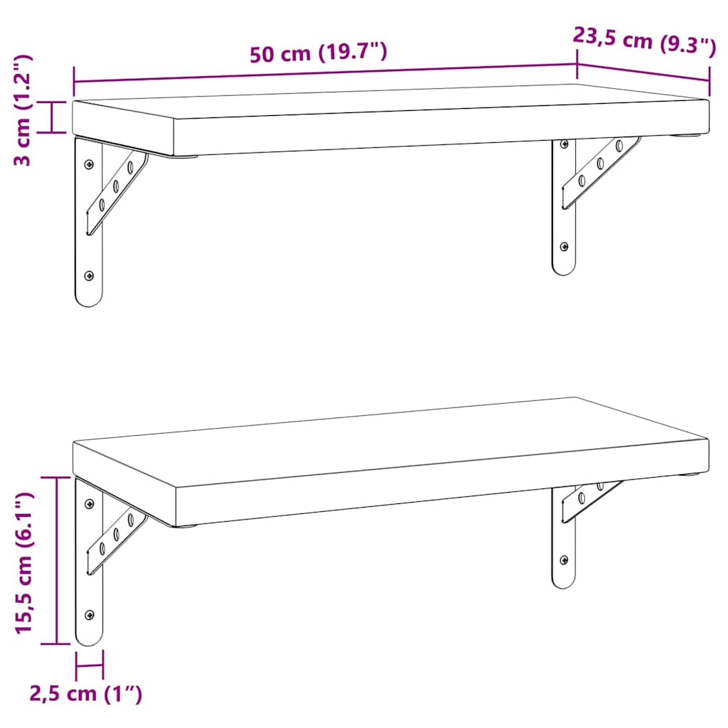 Wandschappen 2 st 50x23,5 cm roestvrijstaal zilverkleurig is nu te koop bij PeponiXL, paradijselijk wonen!