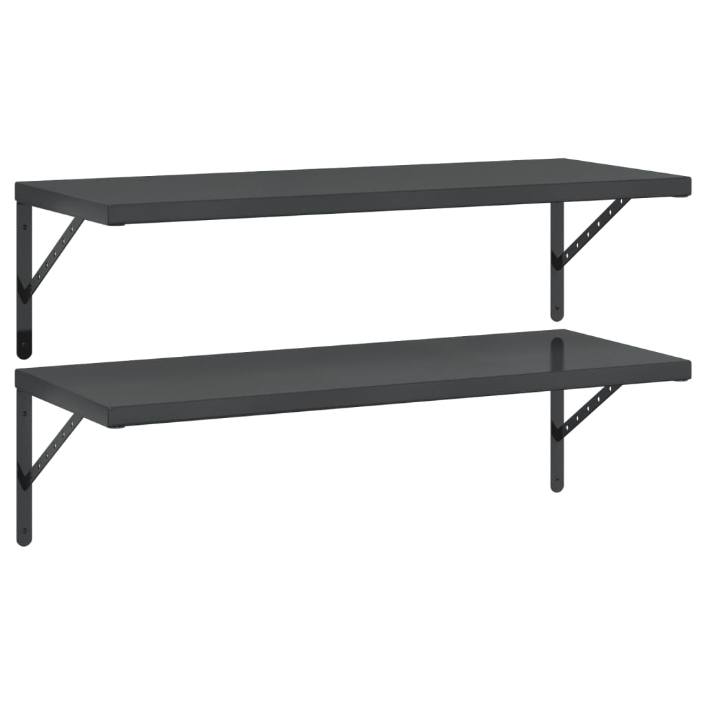 Wandschappen 2 st 100x40 cm roestvrijstaal zwart is nu te koop bij PeponiXL, paradijselijk wonen!