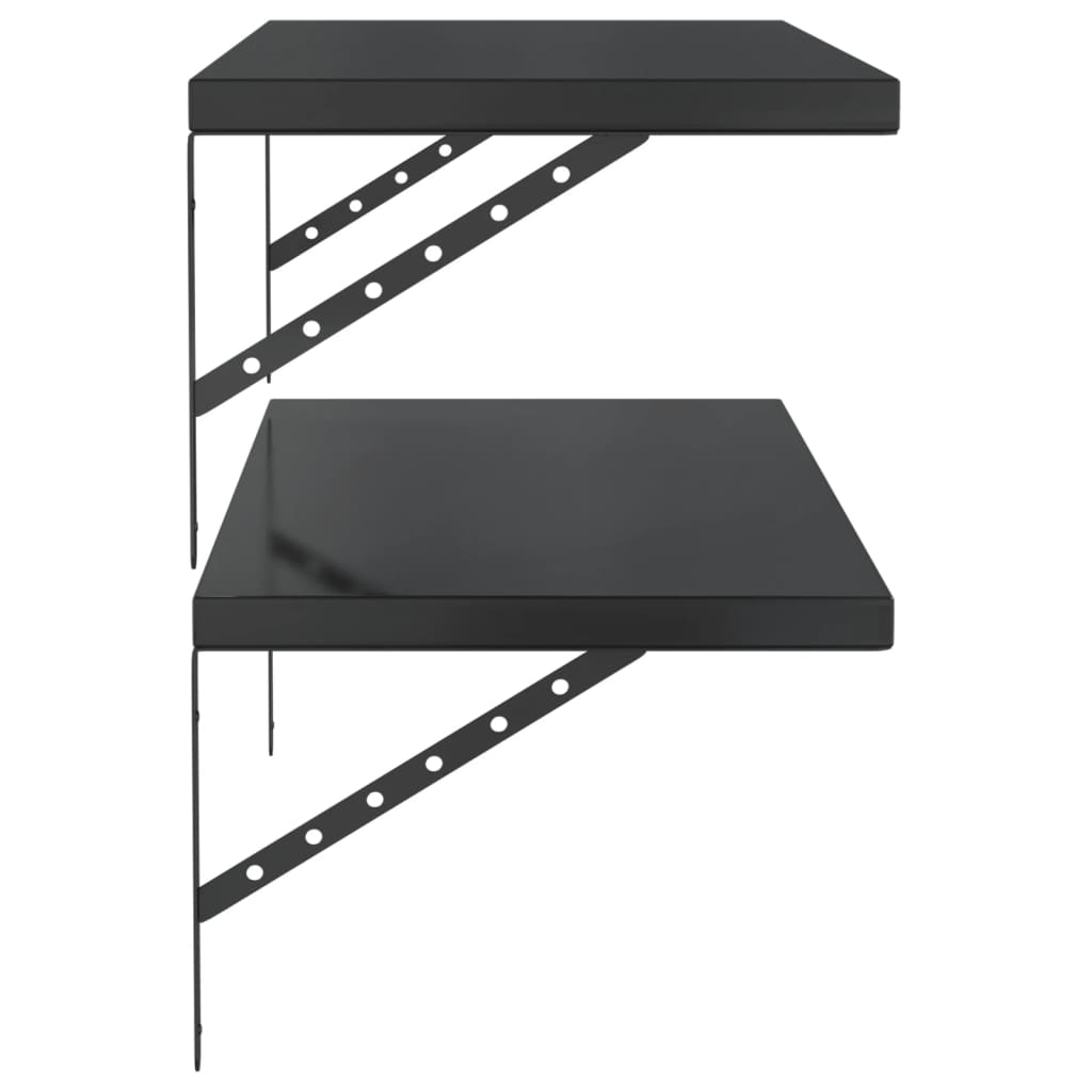 Wandschappen 2 st 100x40 cm roestvrijstaal zwart is nu te koop bij PeponiXL, paradijselijk wonen!