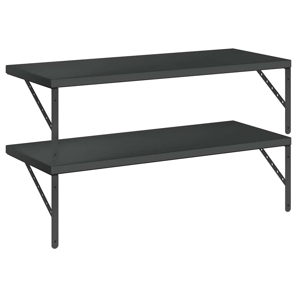 Wandschappen 2 st 100x40 cm roestvrijstaal zwart is nu te koop bij PeponiXL, paradijselijk wonen!