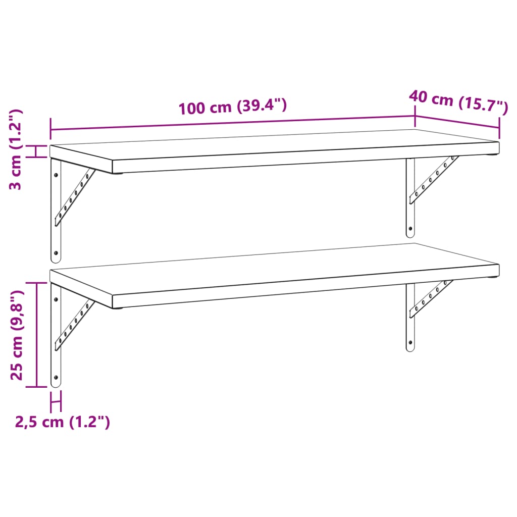 Wandschappen 2 st 100x40 cm roestvrijstaal zwart is nu te koop bij PeponiXL, paradijselijk wonen!