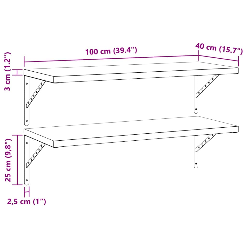 Wandschappen 2 st 100x40 cm roestvrijstaal zwart is nu te koop bij PeponiXL, paradijselijk wonen!