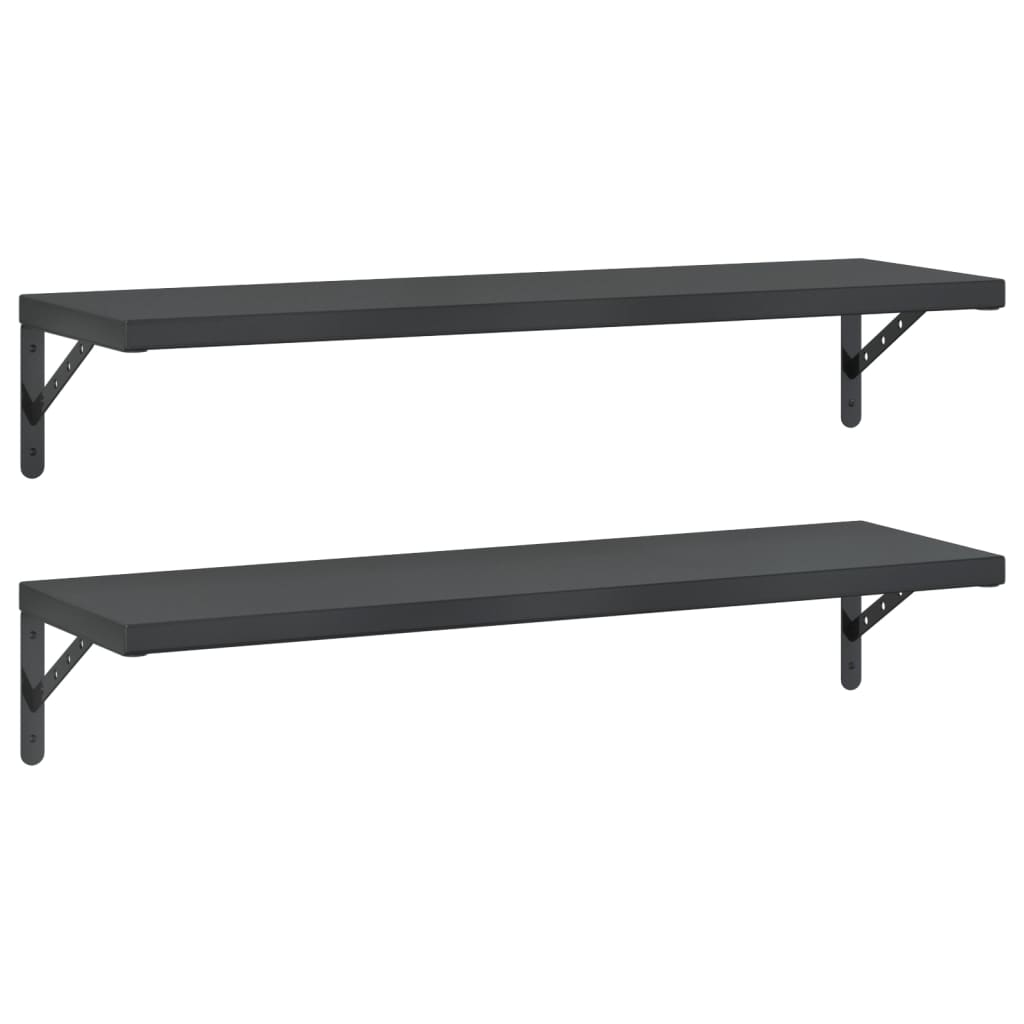 Wandschappen 2 st 100x30 cm roestvrijstaal zwart is nu te koop bij PeponiXL, paradijselijk wonen!