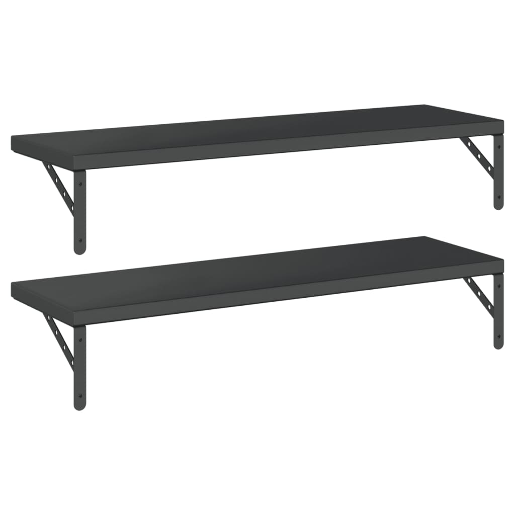 Wandschappen 2 st 100x30 cm roestvrijstaal zwart is nu te koop bij PeponiXL, paradijselijk wonen!