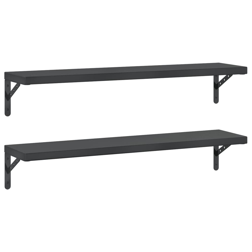 Wandschappen 2 st 100x23,5 cm roestvrijstaal zwart is nu te koop bij PeponiXL, paradijselijk wonen!