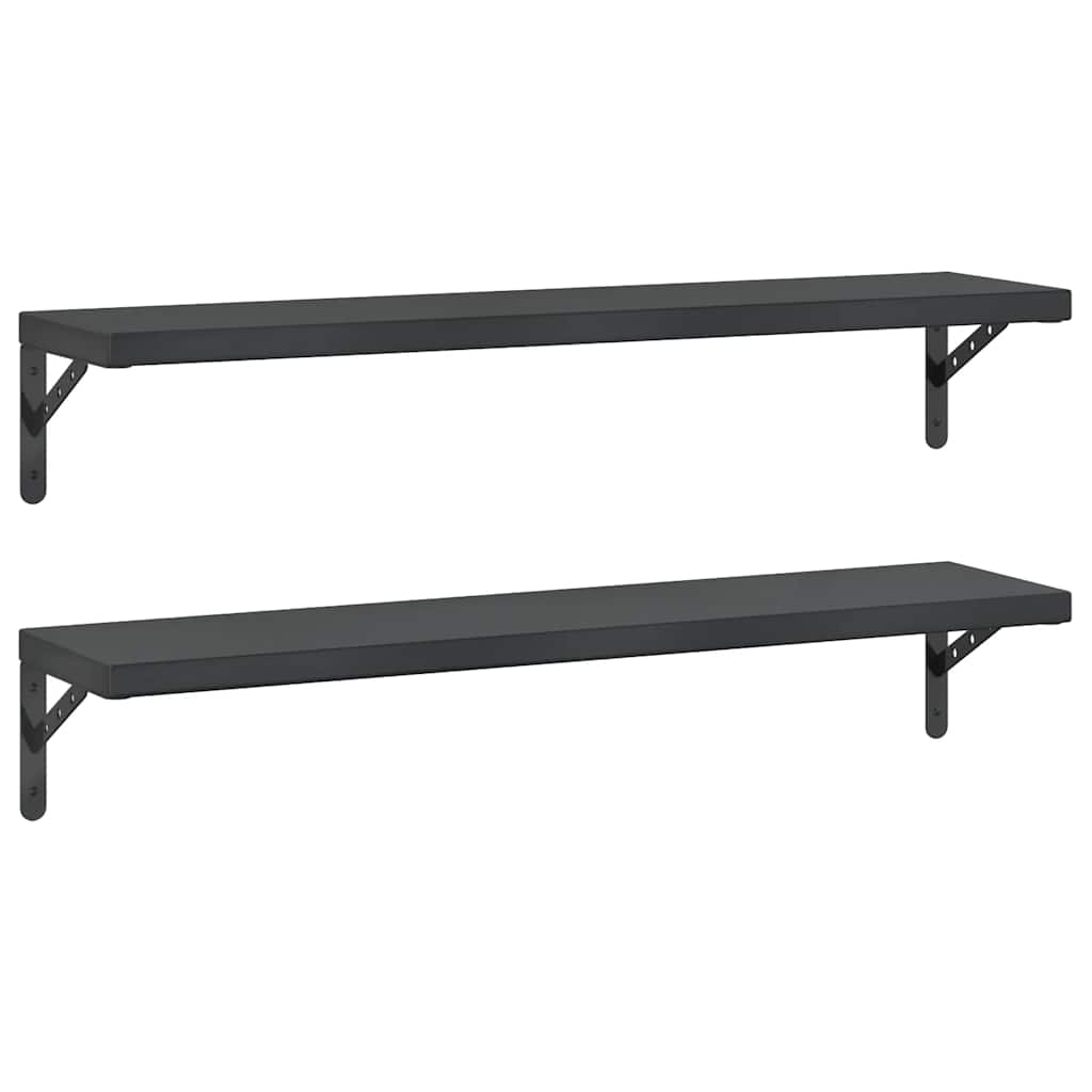 Wandschappen 2 st 100x23,5 cm roestvrijstaal zwart is nu te koop bij PeponiXL, paradijselijk wonen!