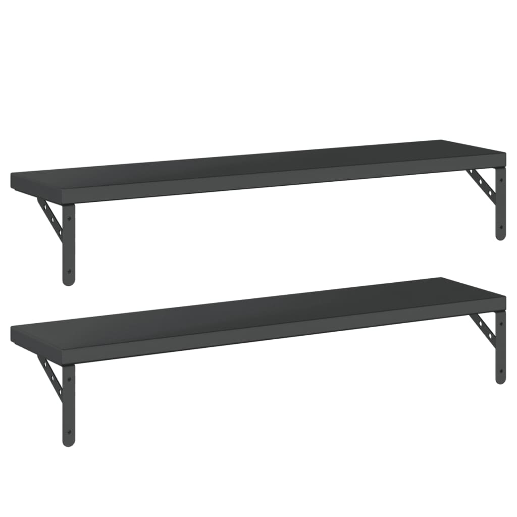 Wandschappen 2 st 100x23,5 cm roestvrijstaal zwart is nu te koop bij PeponiXL, paradijselijk wonen!
