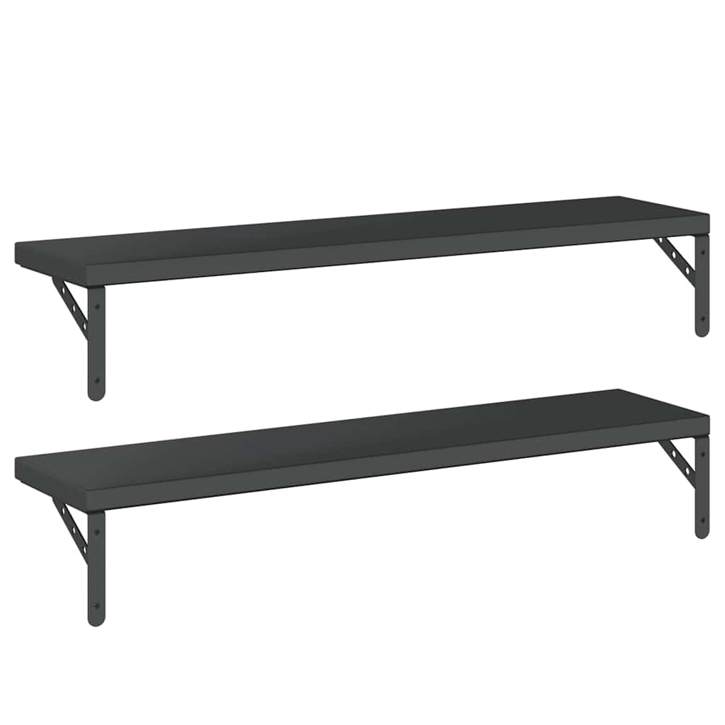 Wandschappen 2 st 100x23,5 cm roestvrijstaal zwart is nu te koop bij PeponiXL, paradijselijk wonen!