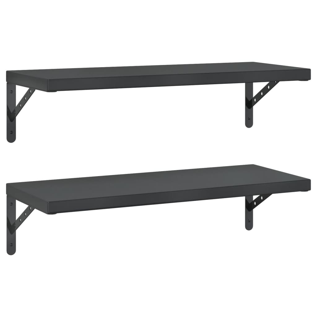 Wandschappen 2 st 75x30 cm roestvrijstaal zwart is nu te koop bij PeponiXL, paradijselijk wonen!