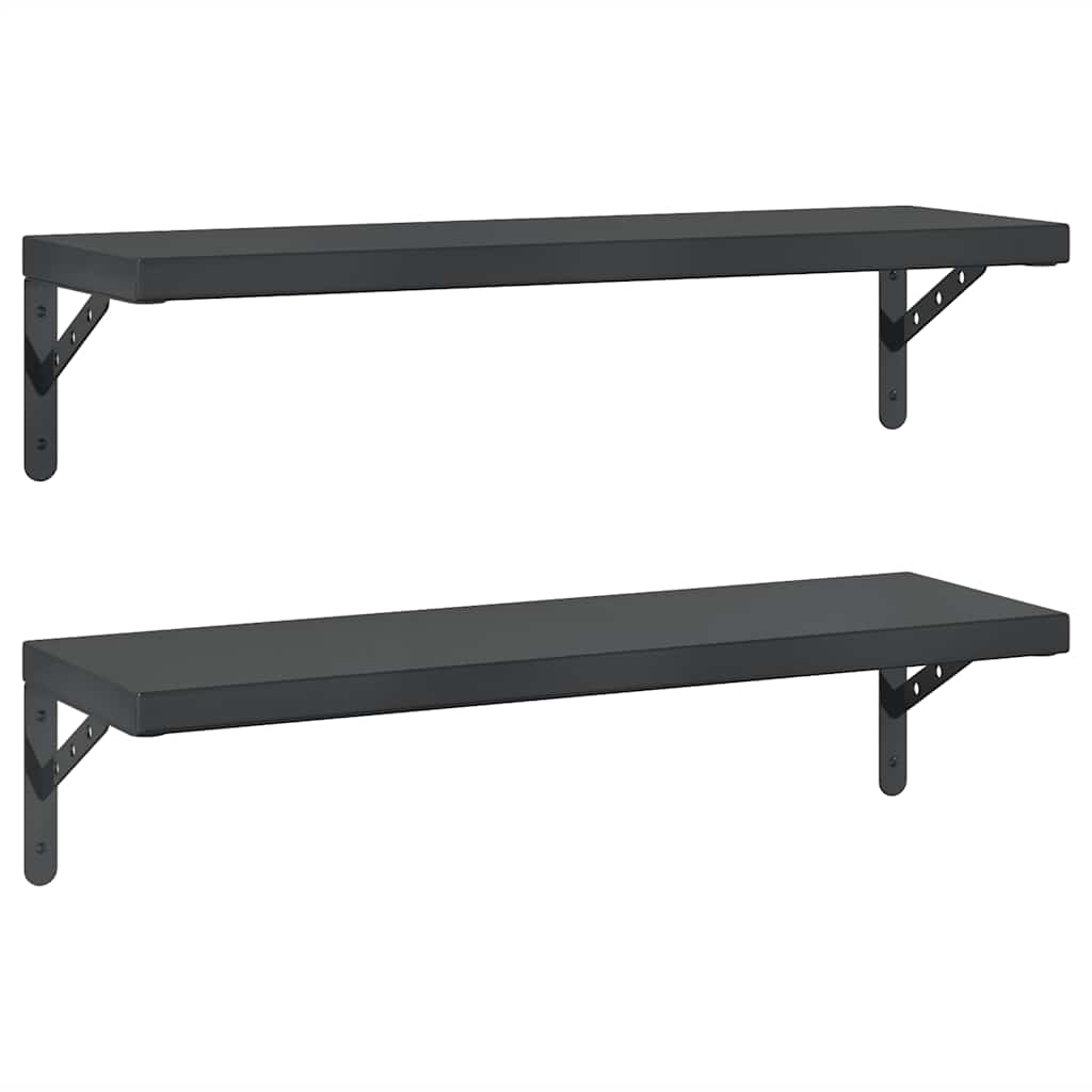 Wandschappen 2 st 75x23,5 cm roestvrijstaal zwart is nu te koop bij PeponiXL, paradijselijk wonen!