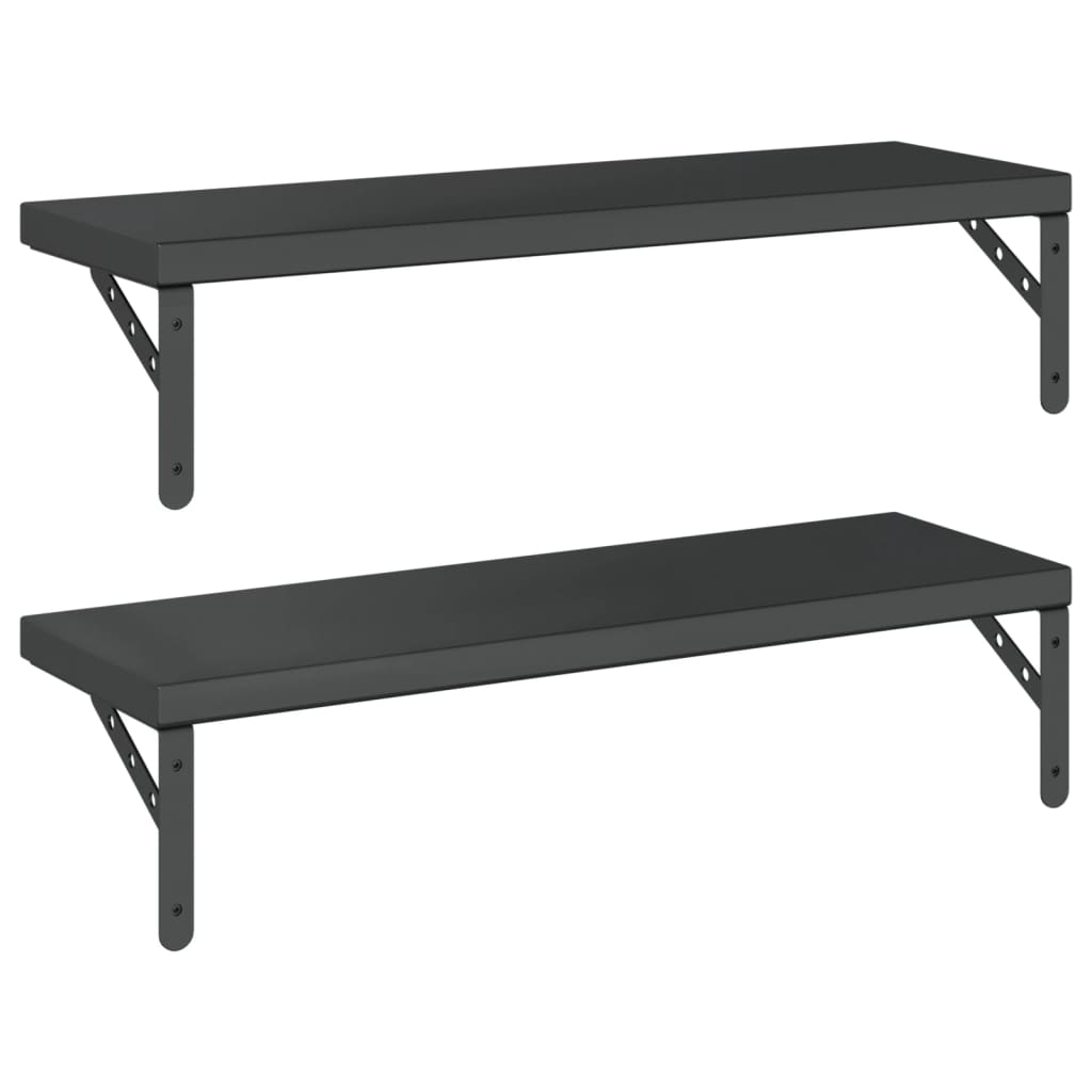 Wandschappen 2 st 75x23,5 cm roestvrijstaal zwart is nu te koop bij PeponiXL, paradijselijk wonen!