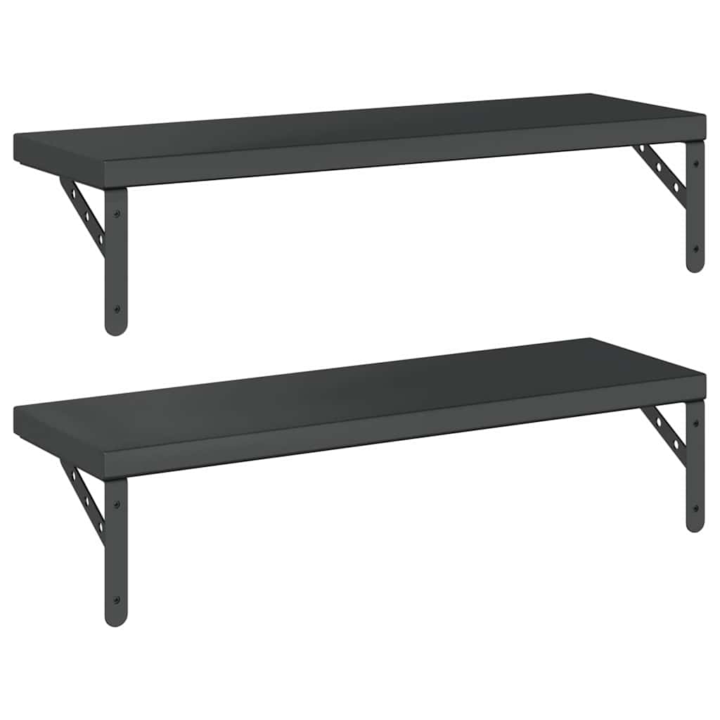 Wandschappen 2 st 75x23,5 cm roestvrijstaal zwart is nu te koop bij PeponiXL, paradijselijk wonen!
