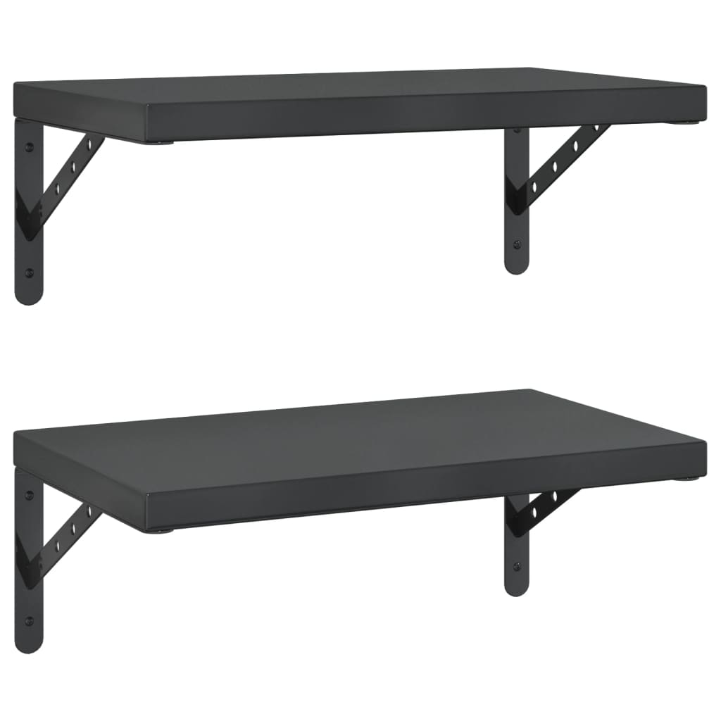 Wandschappen 2 st 50x30 cm roestvrijstaal zwart is nu te koop bij PeponiXL, paradijselijk wonen!