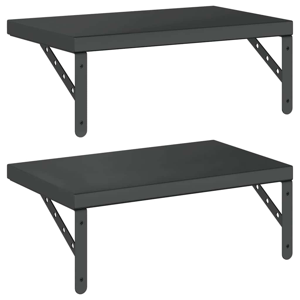 Wandschappen 2 st 50x30 cm roestvrijstaal zwart is nu te koop bij PeponiXL, paradijselijk wonen!