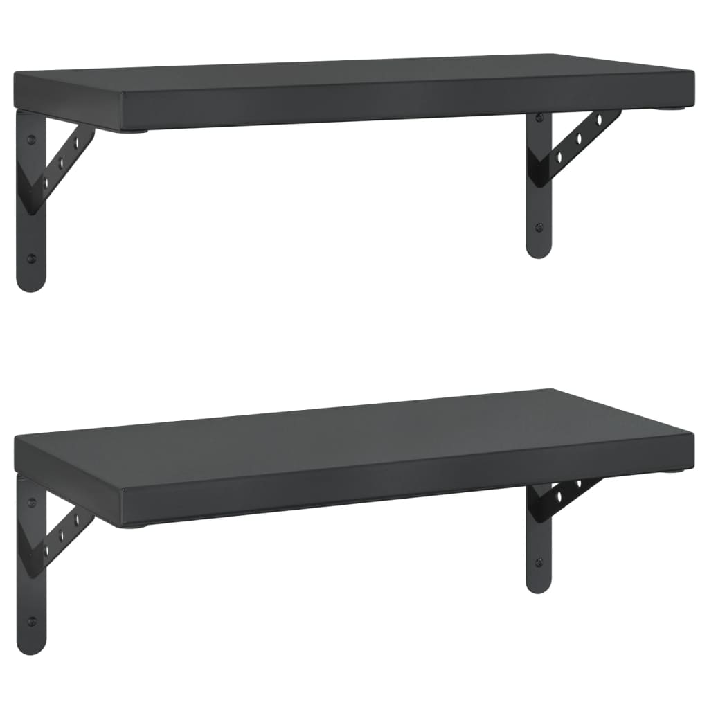 Wandschappen 2 st 50x23,5 cm roestvrijstaal zwart is nu te koop bij PeponiXL, paradijselijk wonen!