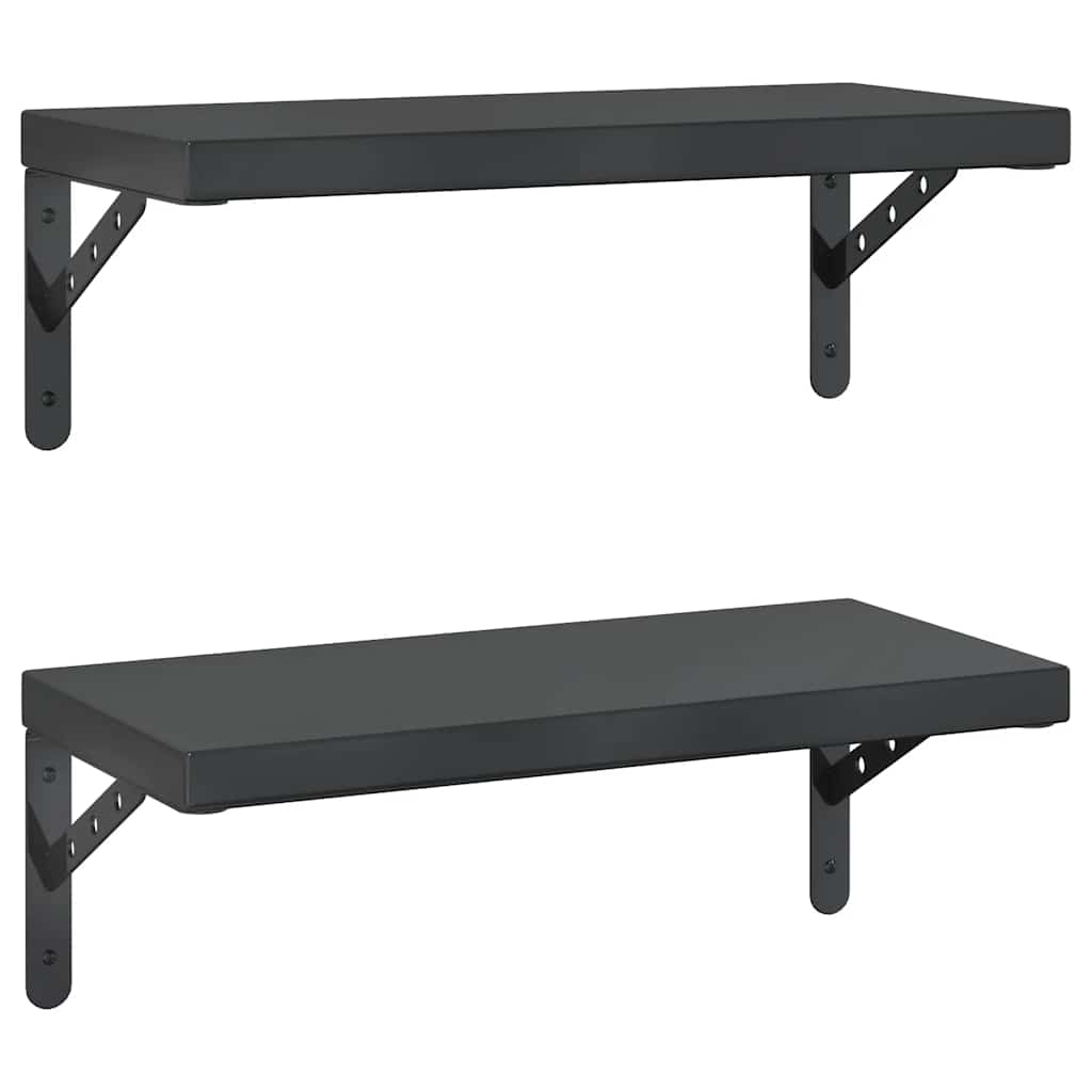 Wandschappen 2 st 50x23,5 cm roestvrijstaal zwart is nu te koop bij PeponiXL, paradijselijk wonen!