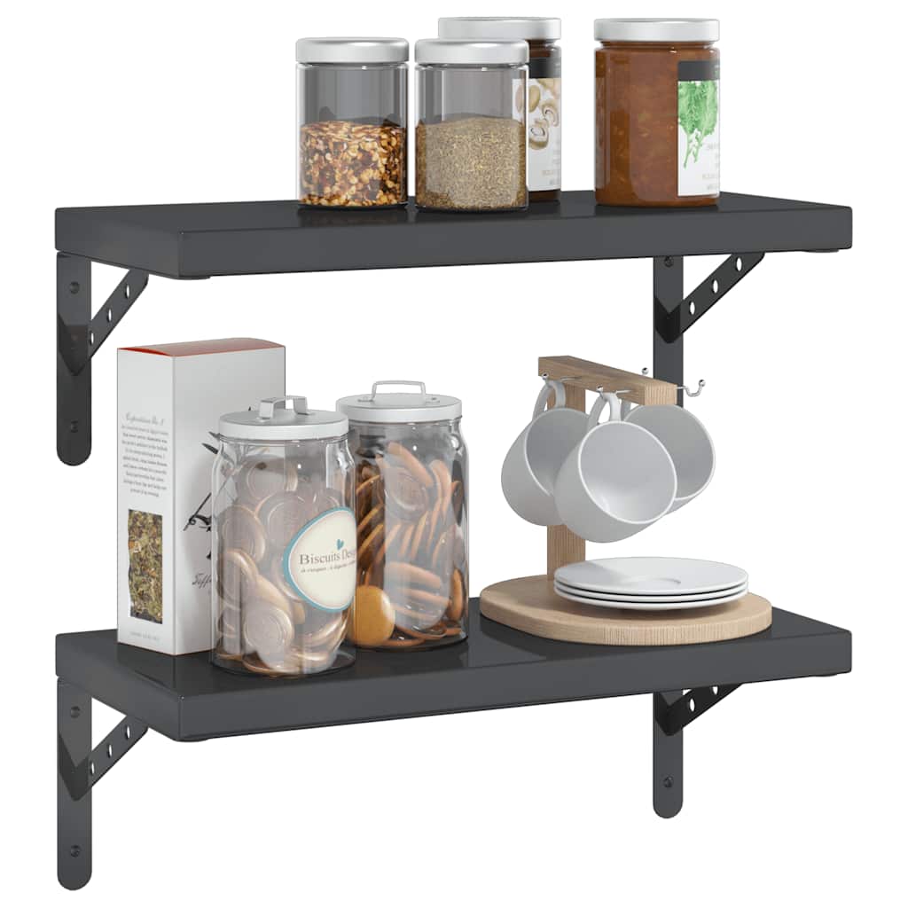 Wandschappen 2 st 50x23,5 cm roestvrijstaal zwart is nu te koop bij PeponiXL, paradijselijk wonen!