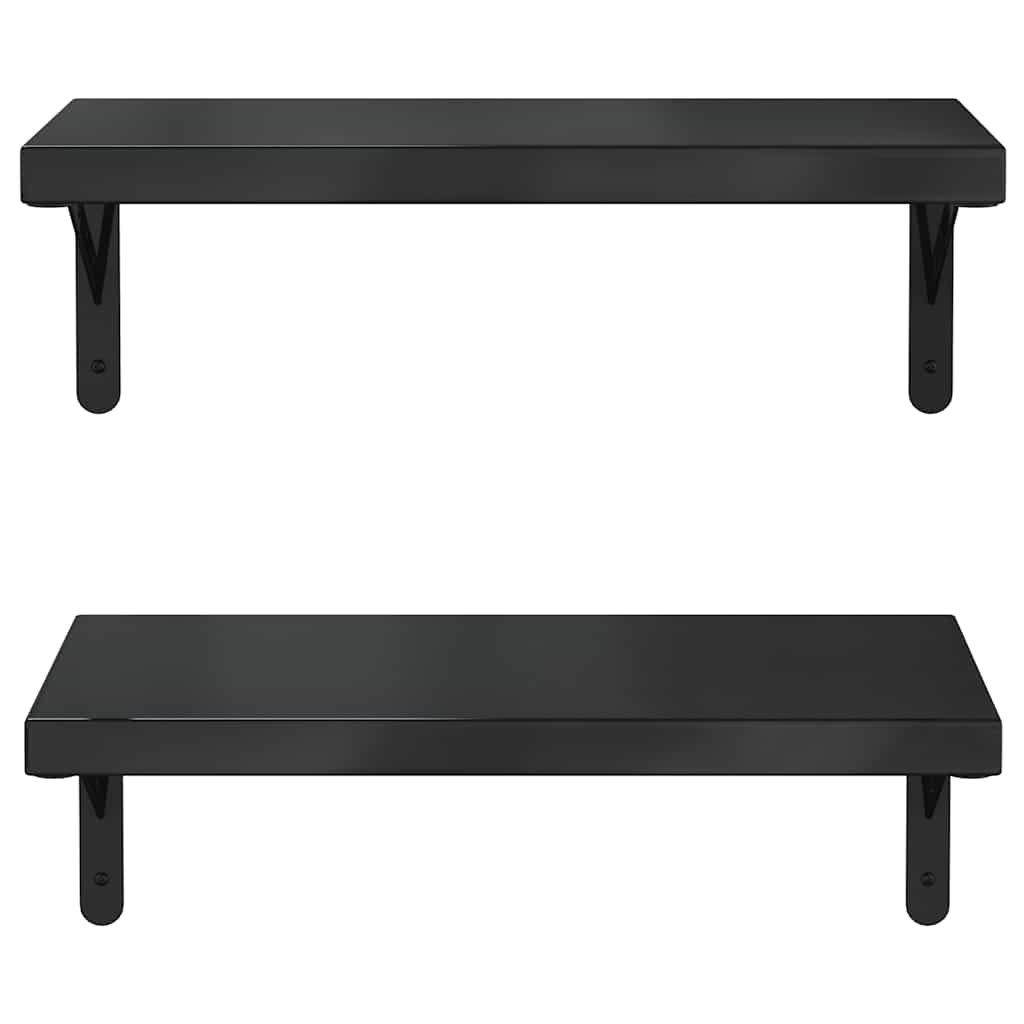 Wandschappen 2 st 50x23,5 cm roestvrijstaal zwart is nu te koop bij PeponiXL, paradijselijk wonen!