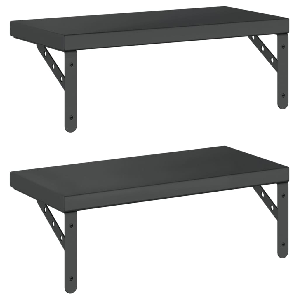 Wandschappen 2 st 50x23,5 cm roestvrijstaal zwart is nu te koop bij PeponiXL, paradijselijk wonen!