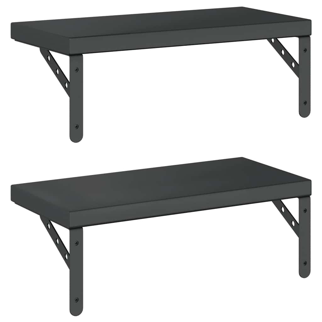 Wandschappen 2 st 50x23,5 cm roestvrijstaal zwart is nu te koop bij PeponiXL, paradijselijk wonen!