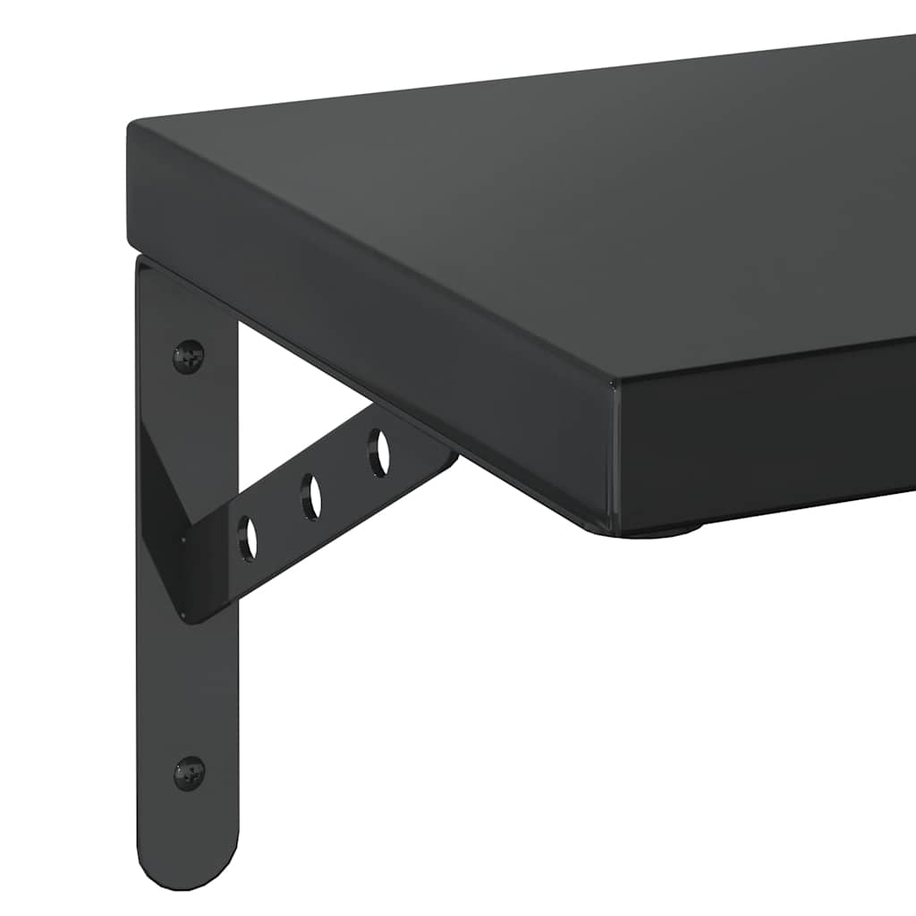 Wandschappen 2 st 50x23,5 cm roestvrijstaal zwart is nu te koop bij PeponiXL, paradijselijk wonen!