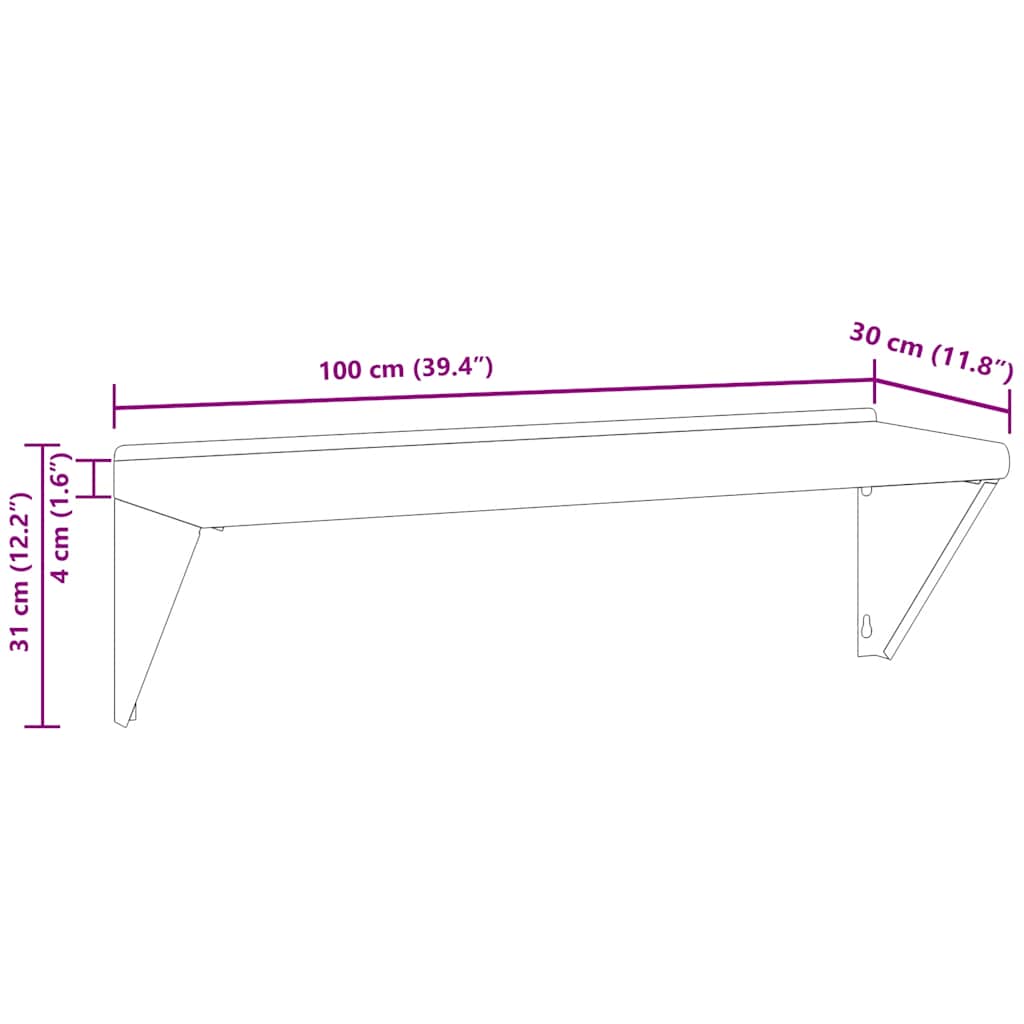 Wandschap 100x30x31 cm roestvrijstaal zilverkleurig is nu te koop bij PeponiXL, paradijselijk wonen!