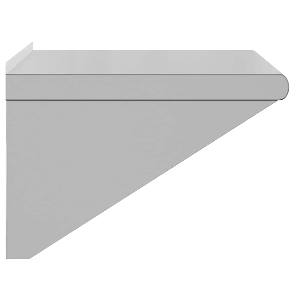 Wandschap 50x45x31 cm roestvrijstaal zilverkleurig is nu te koop bij PeponiXL, paradijselijk wonen!